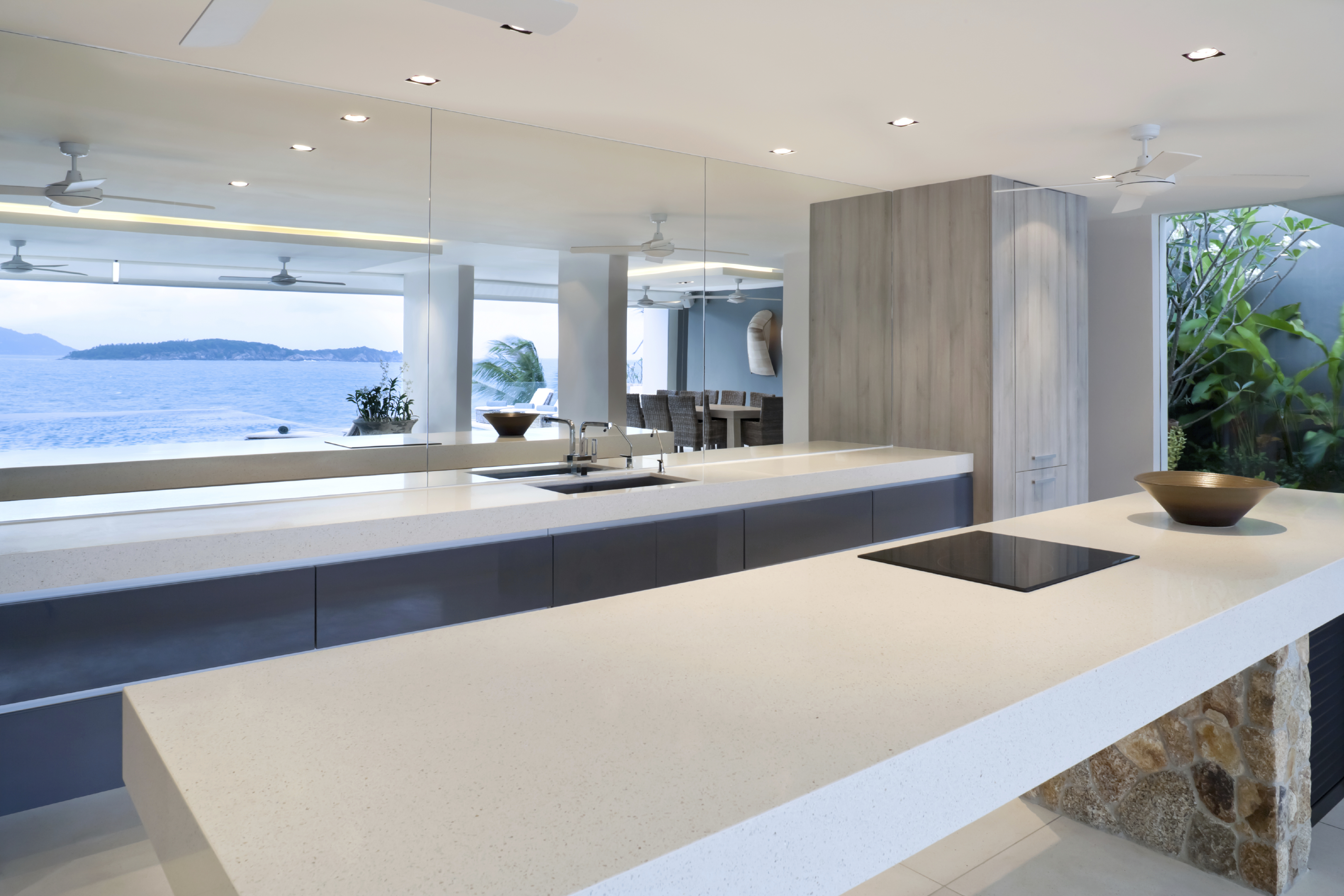 White Birch rendering